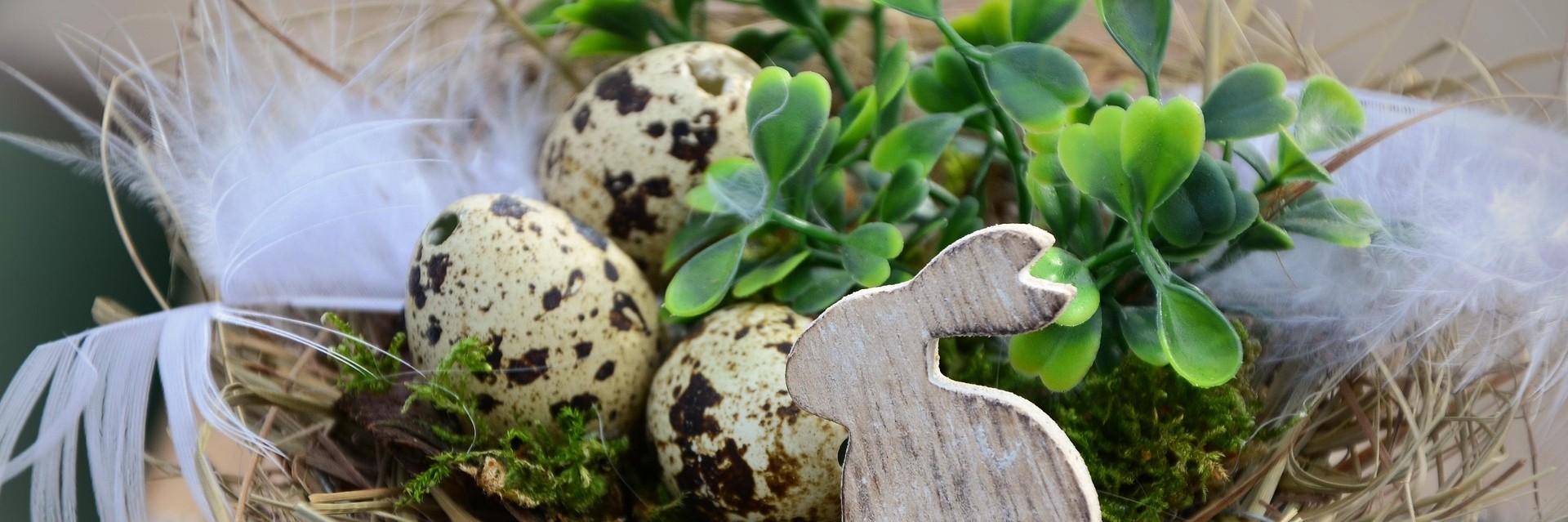 Chasse aux œufs 2026